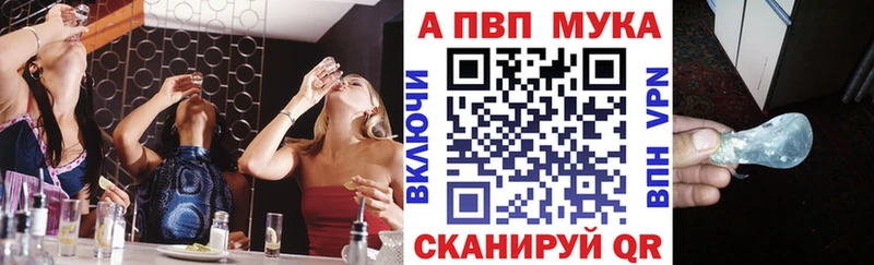 APVP СК  Майкоп 