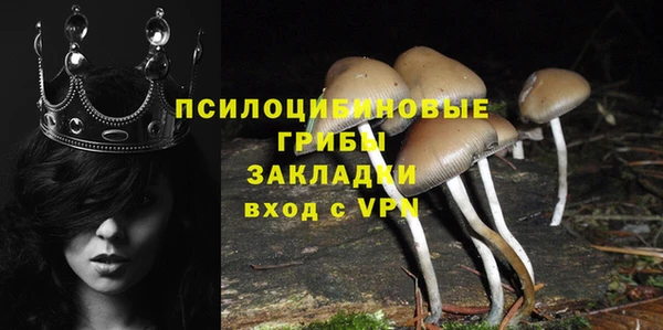 марки lsd Осташков