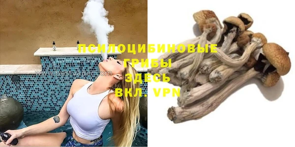 PSILOCYBIN Остров