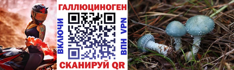 Псилоцибиновые грибы Psilocybine cubensis  наркота  Майкоп 