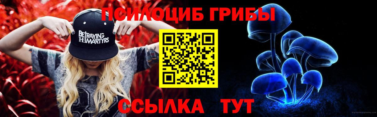 Галлюциногенные грибы мицелий Майкоп
