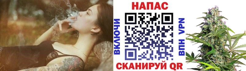 Бошки Шишки THC 21%  наркота  Майкоп 